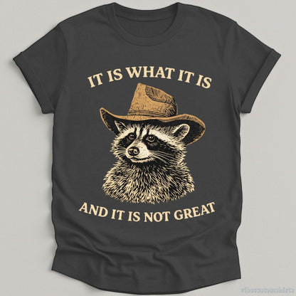 T-Shirt Dark Heather Grey / S It is What it is and it is not Great Cowboy Raccoon Shirt